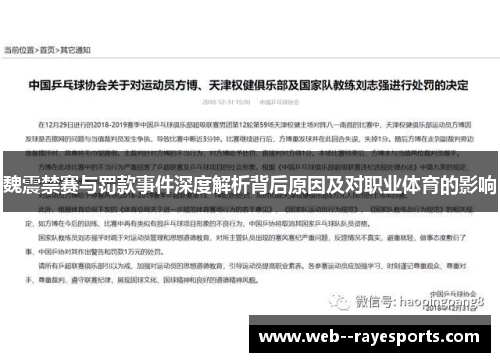 魏震禁赛与罚款事件深度解析背后原因及对职业体育的影响